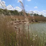 De Luett Stuf - Urlaub Mit Hund * Born