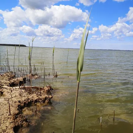 De Luett Stuf - Urlaub Mit Hund Appartamento Born