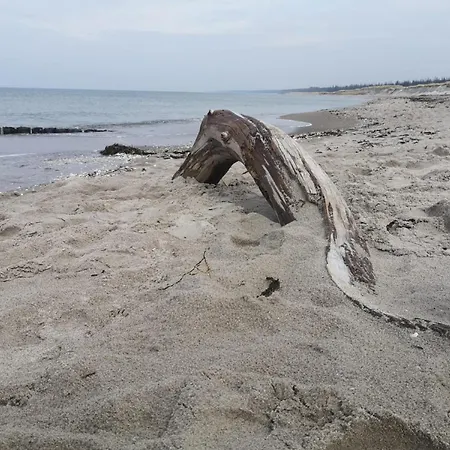 De Luett Stuf - Urlaub Mit Hund * ボルン