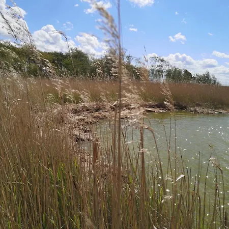 Appartamento De Luett Stuf - Urlaub Mit Hund *