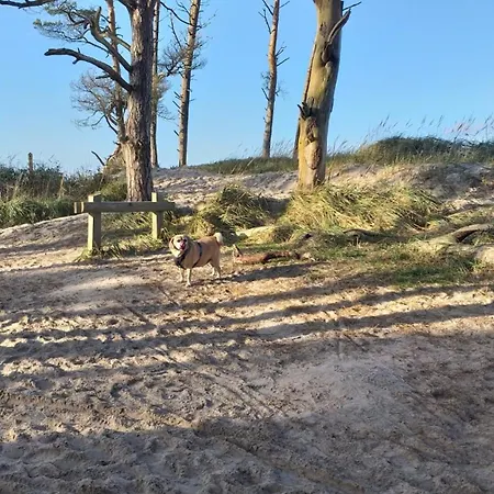 Appartamento De Luett Stuf - Urlaub Mit Hund