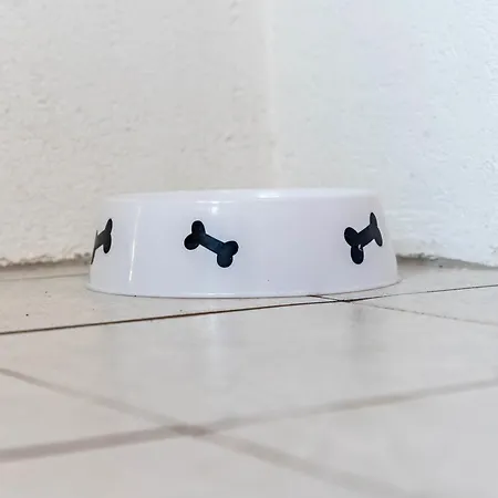 De Luett Stuf - Urlaub Mit Hund Appartamento