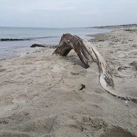 De Luett Stuf - Urlaub Mit Hund Appartamento
